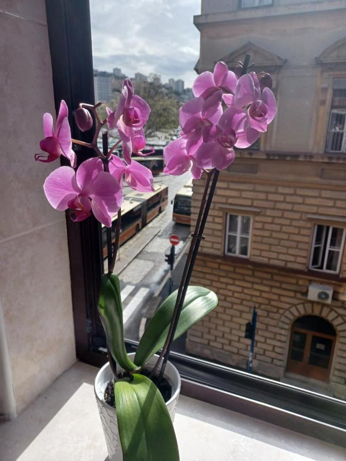 Ferienwohnung Apartman Vesna Rijeka Exterior foto